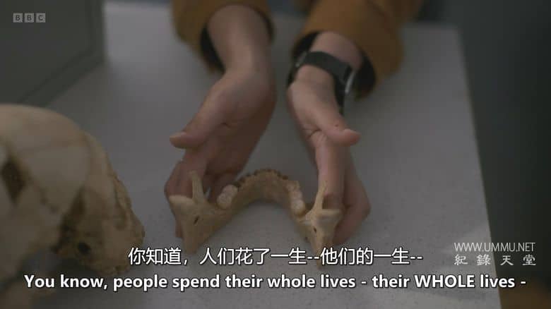 人类 2025 Human 2025插图3