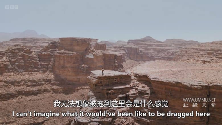 人类 2025 Human 2025插图7