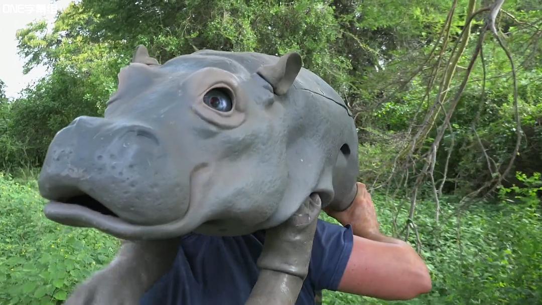 荒野间谍 第一季 Spy in the Wild Season 1插图6