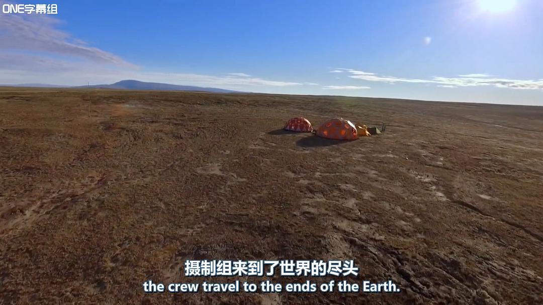 荒野间谍 第一季 Spy in the Wild Season 1插图13