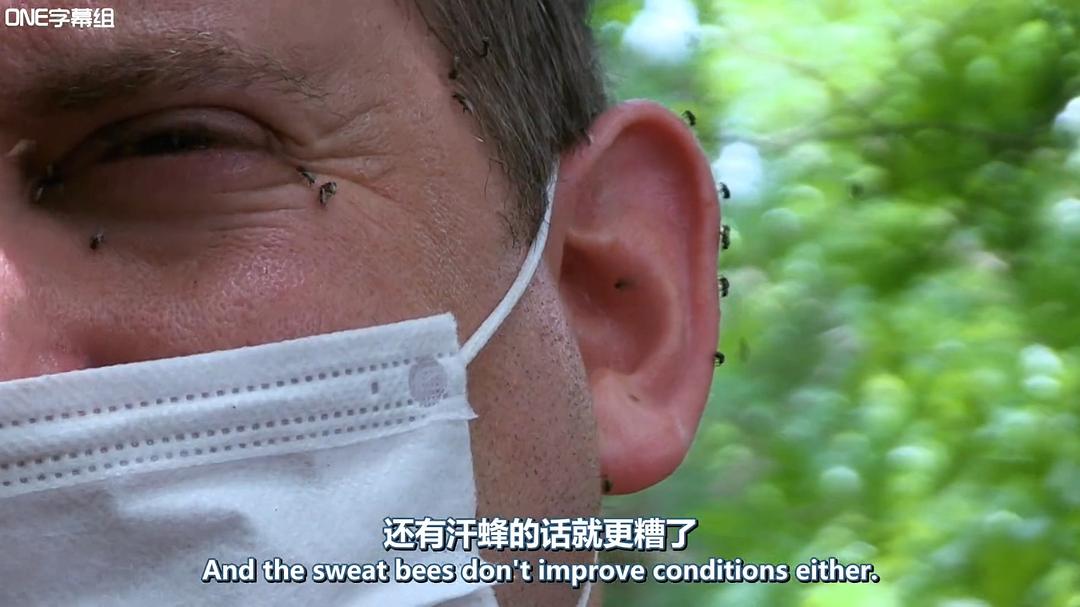 荒野间谍 第一季 Spy in the Wild Season 1插图14