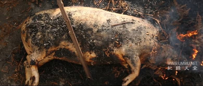 云深之处 In The Clouds插图4