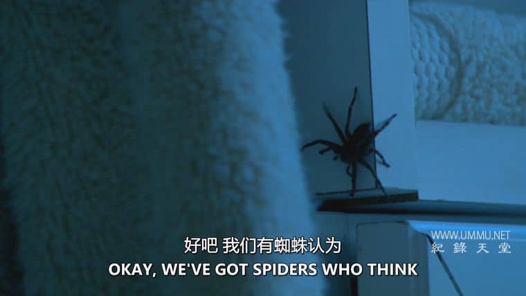 害虫入侵！Infested!插图2