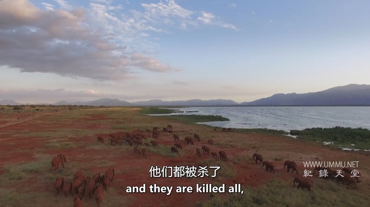 遗产 Heritage插图1