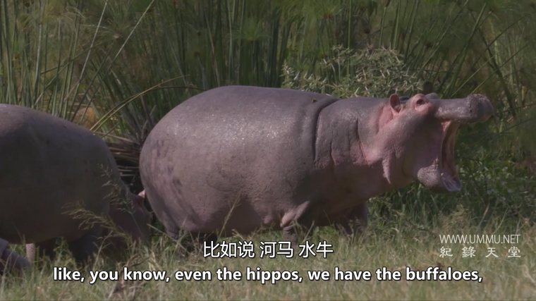 遗产 Heritage插图2