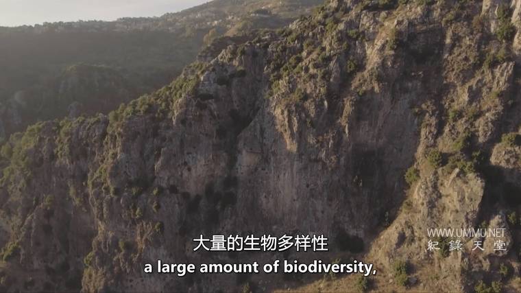 遗产 Heritage插图4