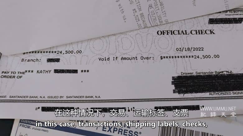 你好美女：爱情骗局解剖 Hey Beautiful: Anatomy of a Romance Scam插图5