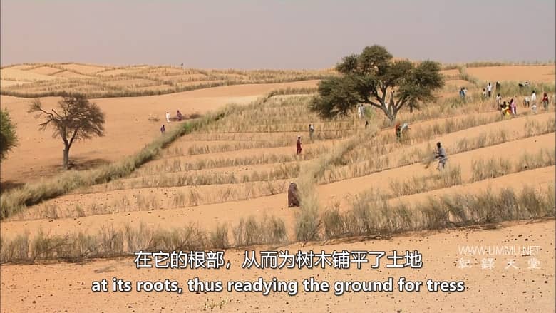 极端！- 从干旱到洪水 Extreme! – From Drought to Deluge插图6