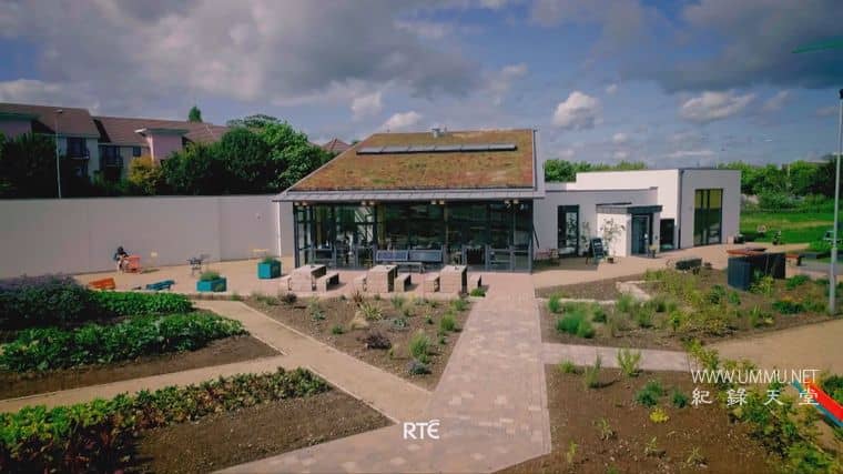 种植、烹饪、食用 Grow, Cook, Eat插图1