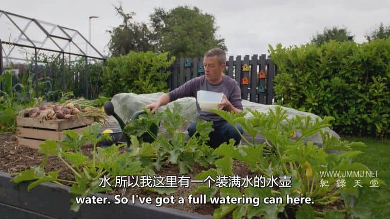 种植、烹饪、食用 Grow, Cook, Eat插图2