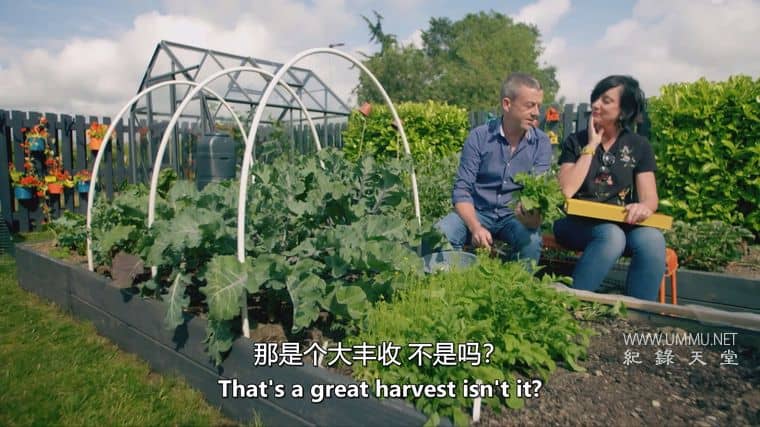 种植、烹饪、食用 Grow, Cook, Eat插图3