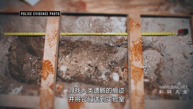 是如何抓到我的杀手的 第二季 How I Caught My Killer插图1