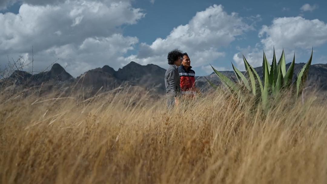 激流 第二季插图6