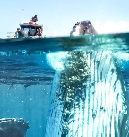 如果地球上没有陆地 If There Was No Land On Earth插图