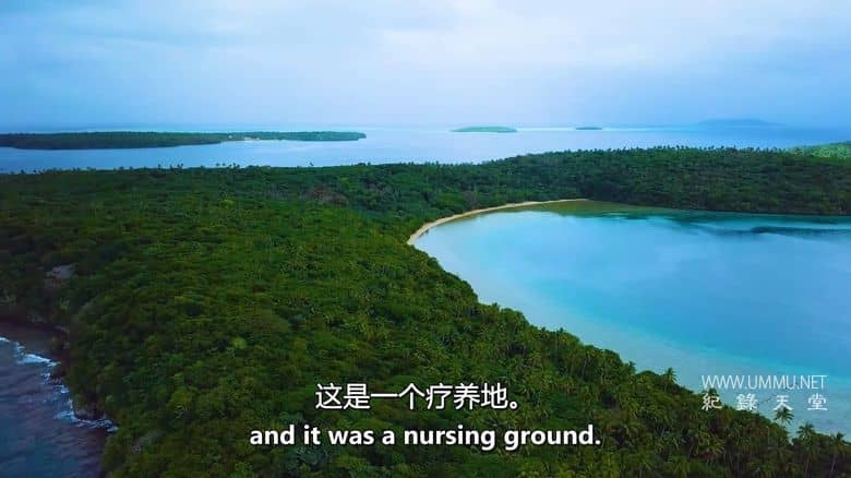 如果地球上没有陆地 If There Was No Land On Earth插图2