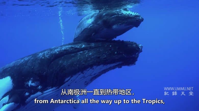 如果地球上没有陆地 If There Was No Land On Earth插图3