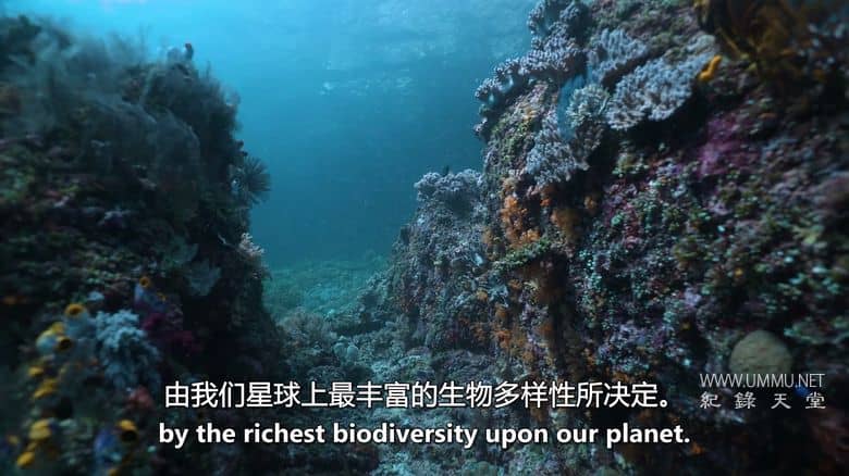 如果地球上没有陆地 If There Was No Land On Earth插图5