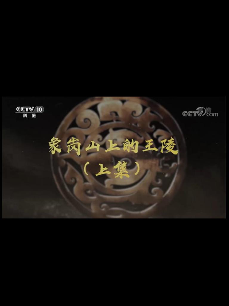 象岗山上的王陵插图4