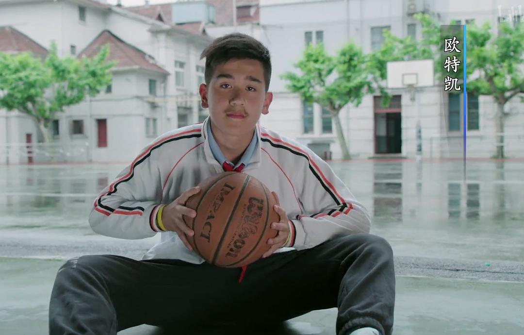 我从新疆来插图1