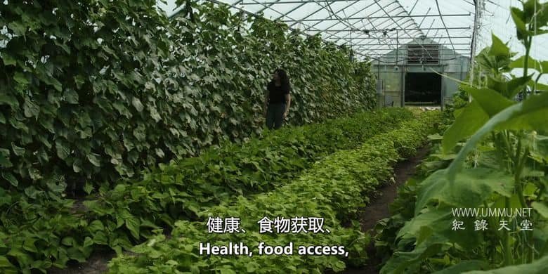 为了明天 Feeding Tomorrow插图1