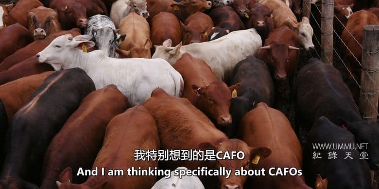 为了明天 Feeding Tomorrow插图3