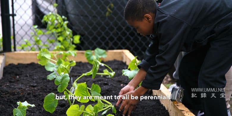 为了明天 Feeding Tomorrow插图4