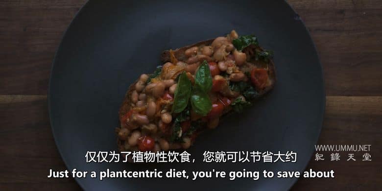 为了明天 Feeding Tomorrow插图5