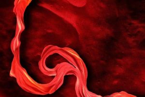 航程二万五千里