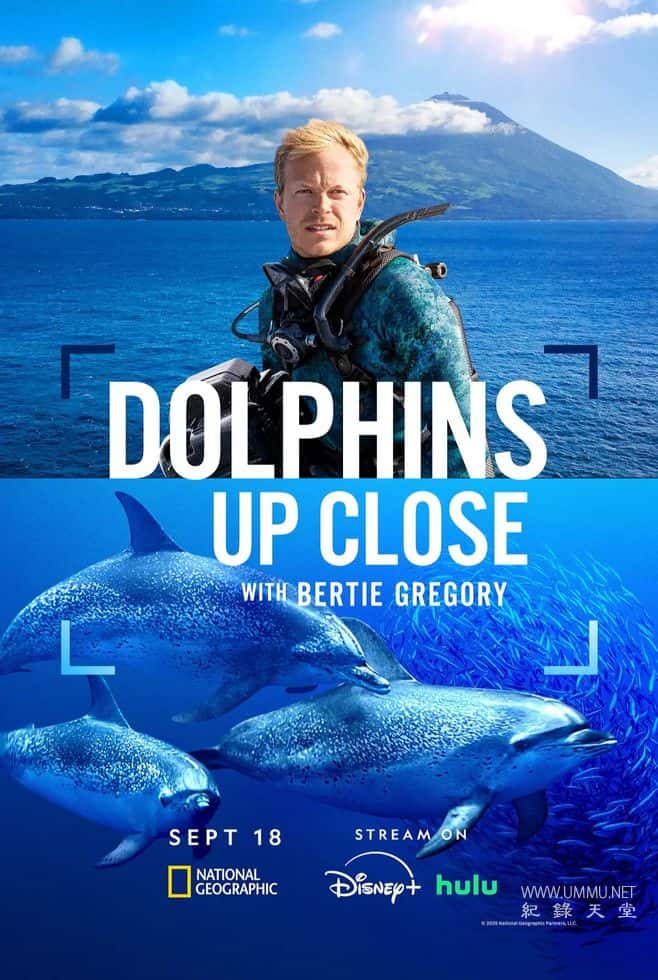 摄影师贝尔蒂与海豚零距离 Dolphins Up Close with Bertie Gregory插图