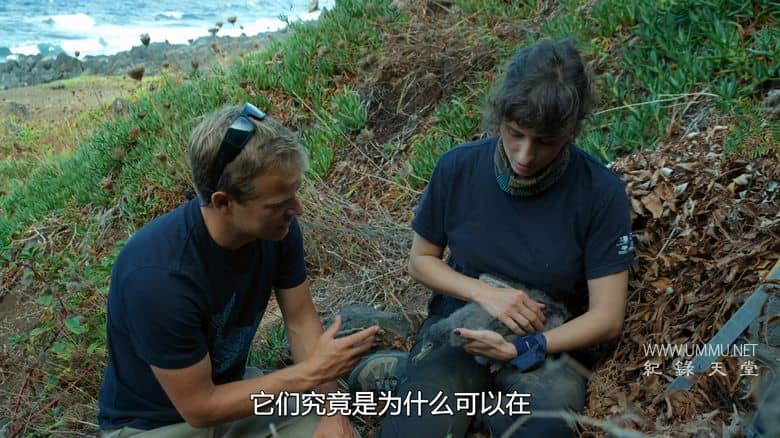 摄影师贝尔蒂与海豚零距离 Dolphins Up Close with Bertie Gregory插图5