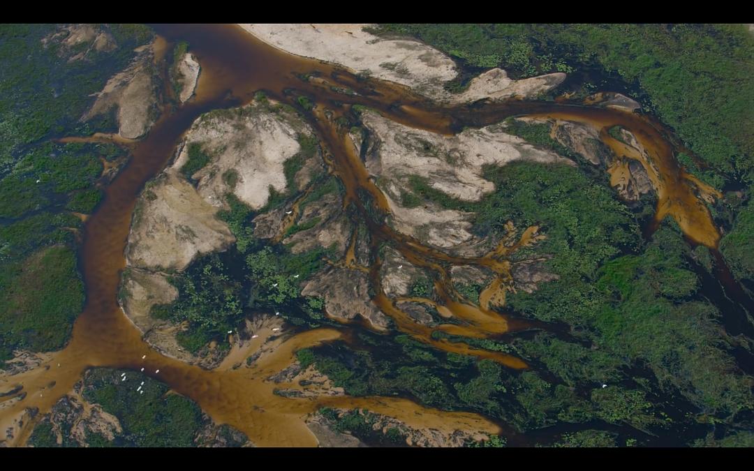 大象 Elephant插图2