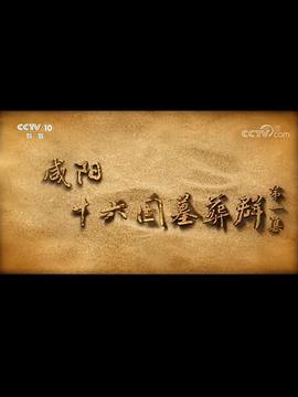 咸阳十六国墓葬群插图