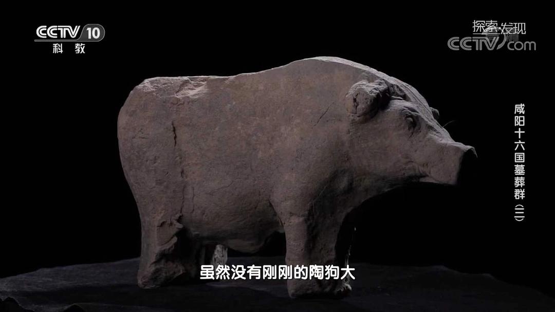 咸阳十六国墓葬群插图6