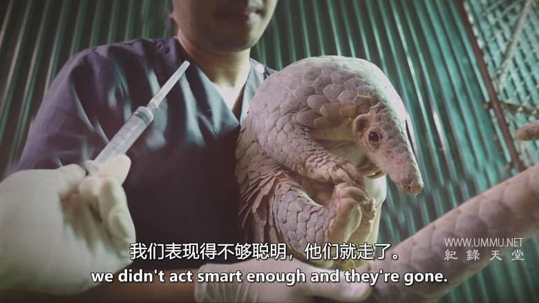 逃离灭绝 Escape from Extinction插图2