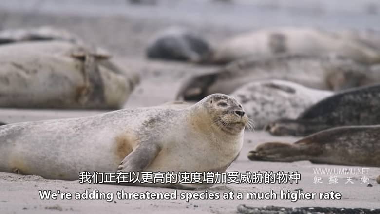 逃离灭绝 Escape from Extinction插图4