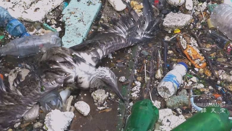 逃离灭绝 Escape from Extinction插图5