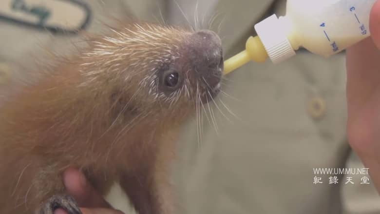 逃离灭绝 Escape from Extinction插图6