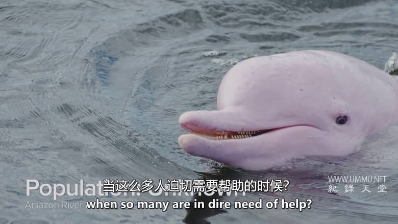 逃离灭绝 Escape from Extinction插图7