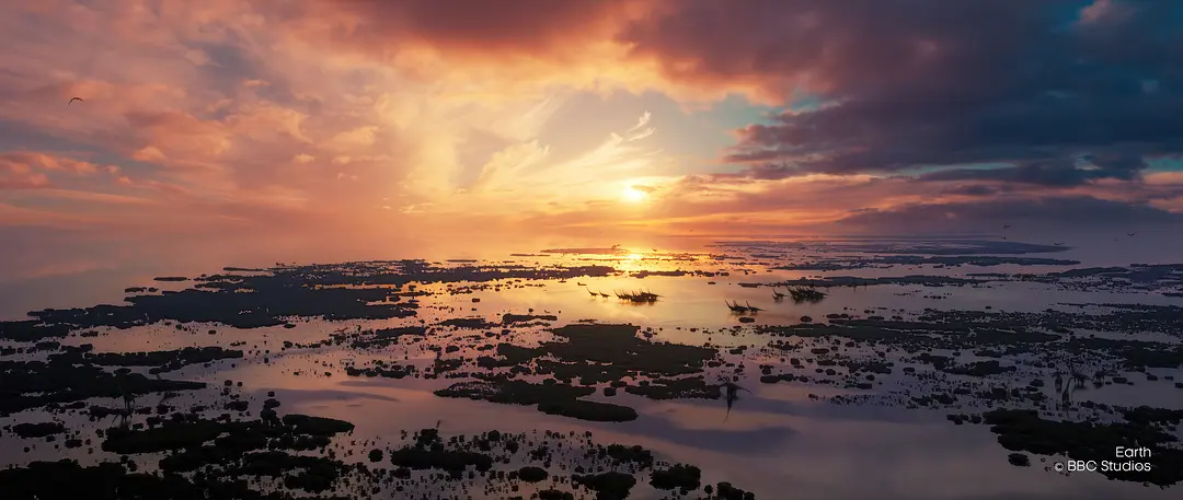 地球 Earth插图10