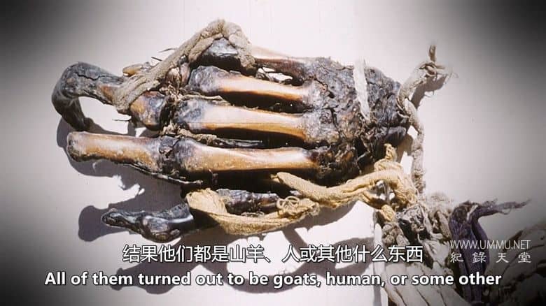 探险档案 Expedition Files插图2