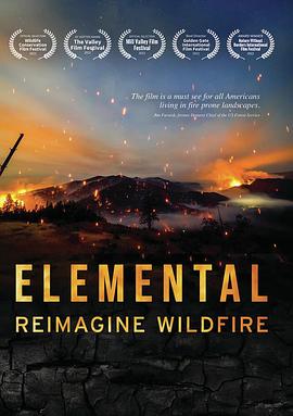 美国大火 Elemental: Reimagine Wildfire插图