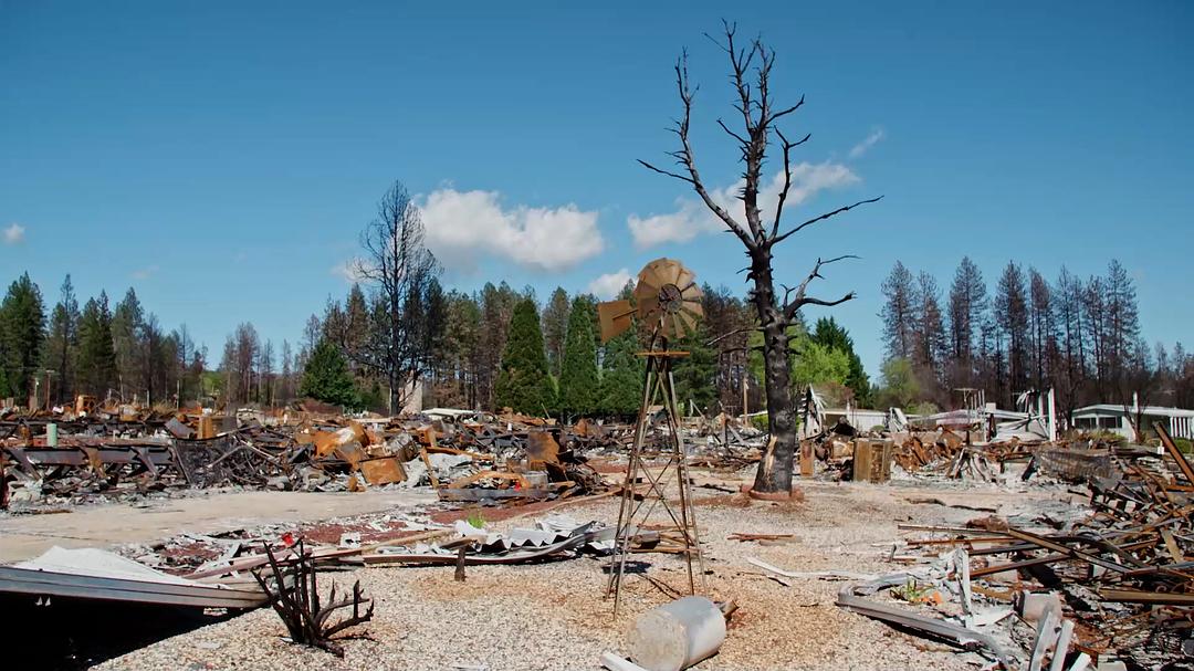 美国大火 Elemental: Reimagine Wildfire插图3