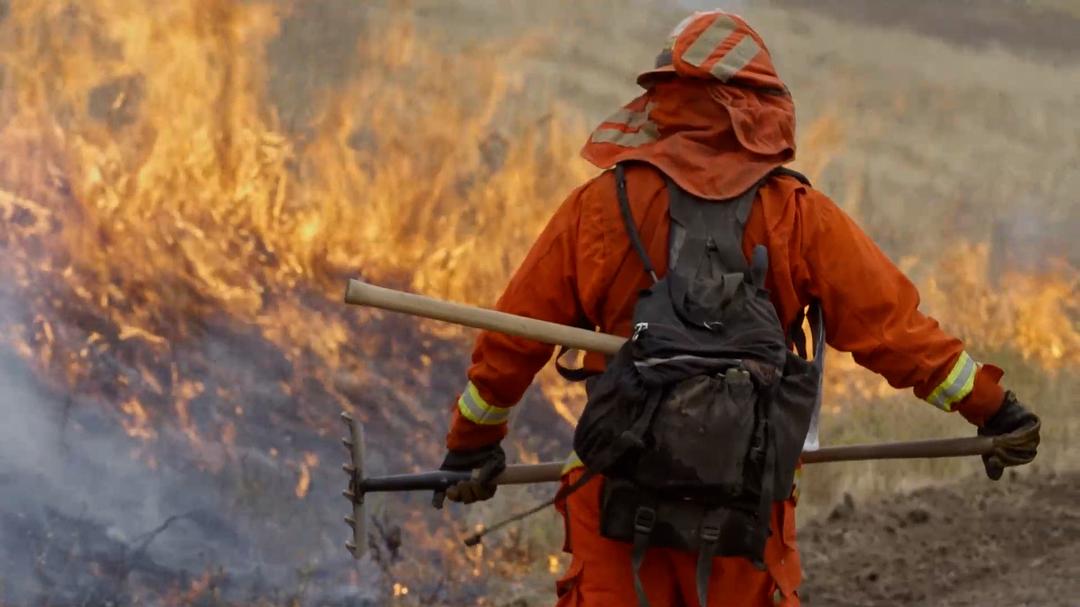 美国大火 Elemental: Reimagine Wildfire插图7