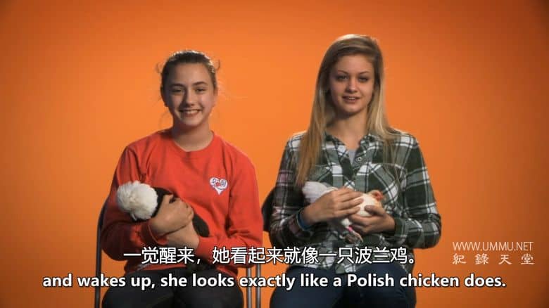 养鸡人 Chicken People插图5