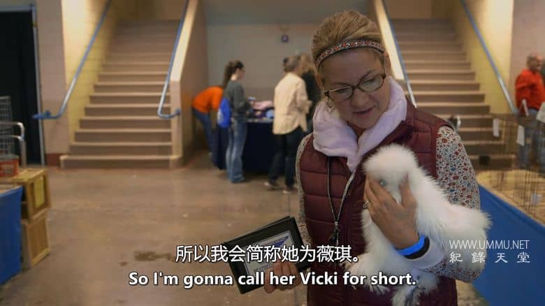 养鸡人 Chicken People插图7