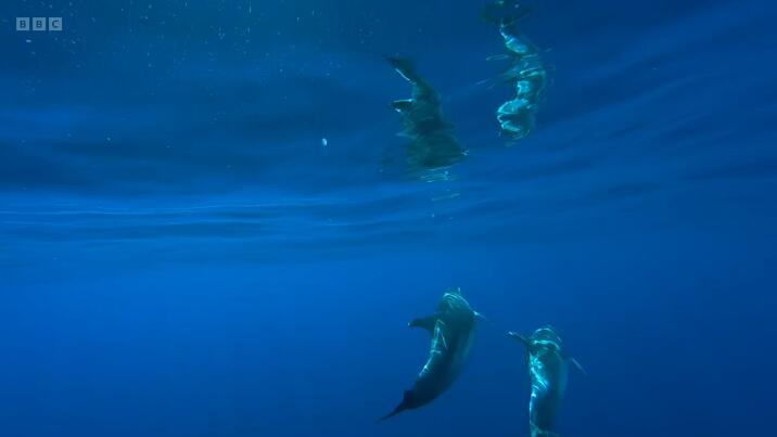 地球 Earth 5集插图4