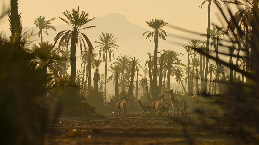 我们星球上的生命 Life on Our Planet插图4