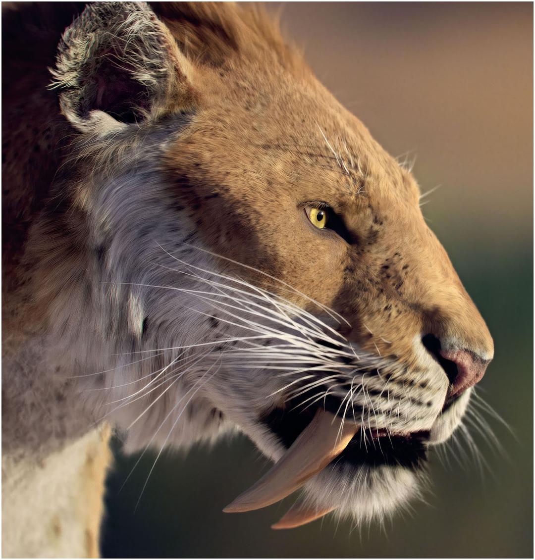 我们星球上的生命 Life on Our Planet插图5