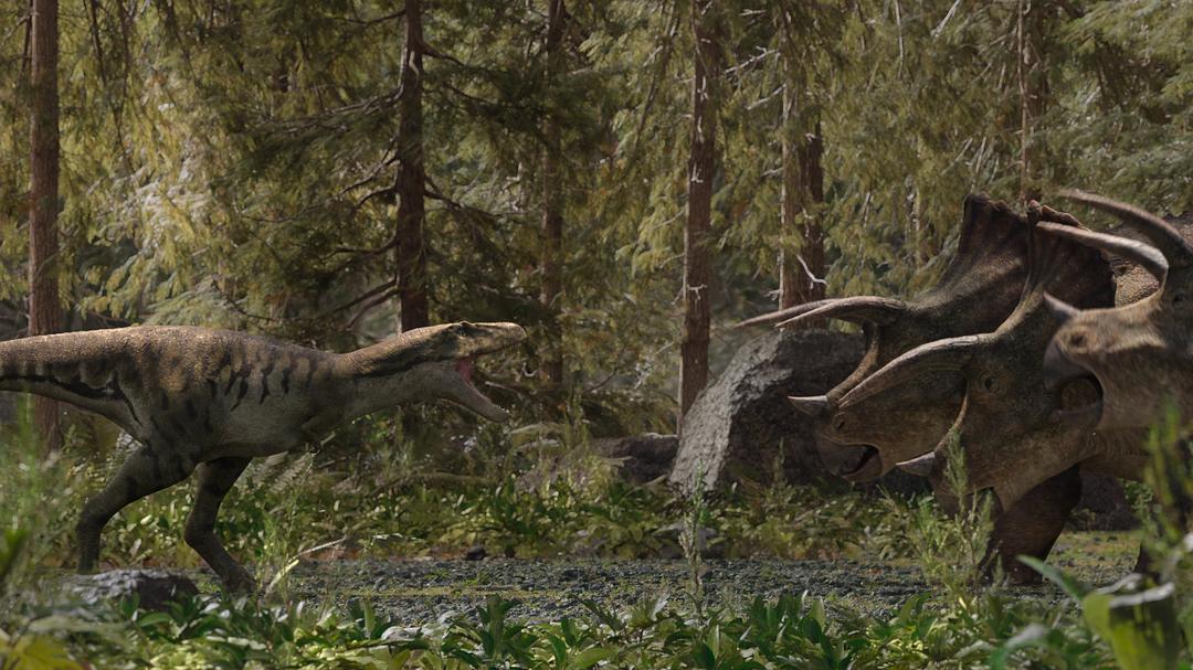 我们星球上的生命 Life on Our Planet插图9