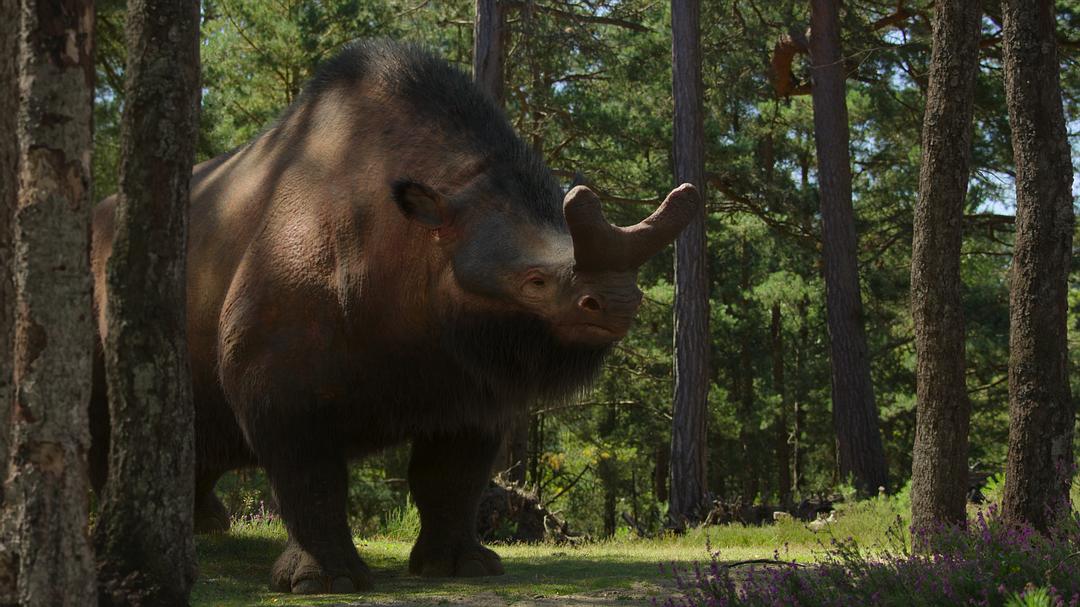 我们星球上的生命 Life on Our Planet插图10